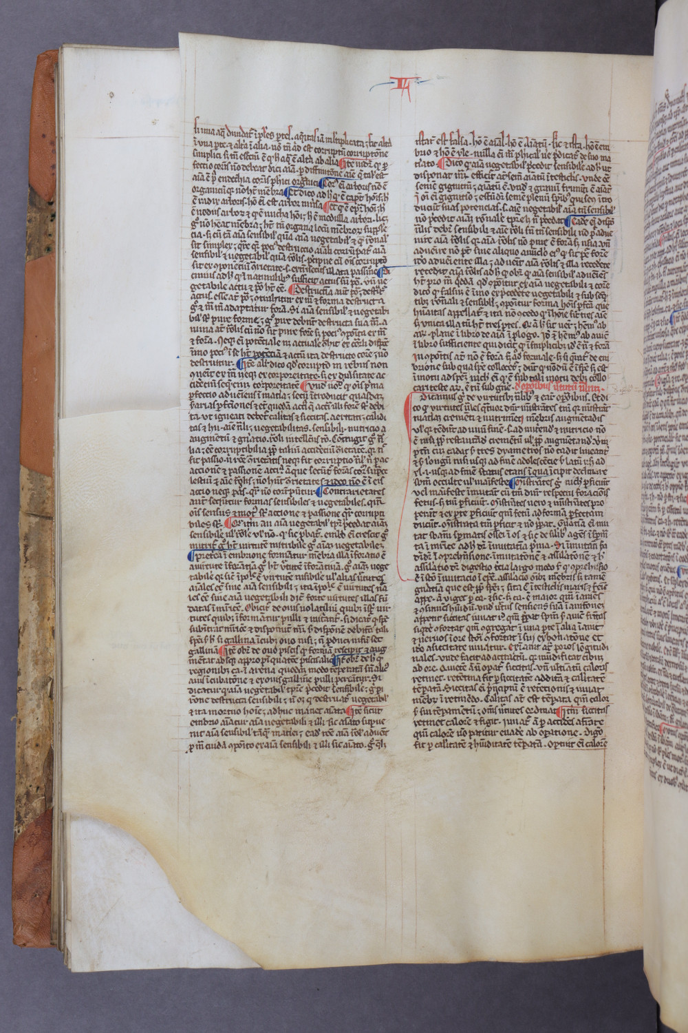 Folio 114 verso